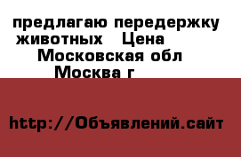 предлагаю передержку животных › Цена ­ 350 - Московская обл., Москва г.  »    